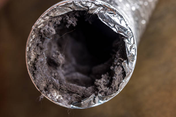 Best Commercial Air Duct Cleaning  in Asbury Lake, FL