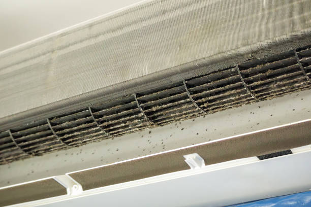 Best Dryer Vent Cleaning Services  in Asbury Lake, FL